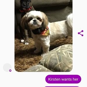 Meet your Posher, Megan